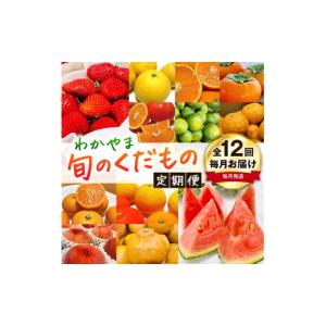 ふるさと納税 果物の詰合せ 和歌山県 美浜町 定期便 〈毎月定期便 全12回〉わかやま旬のくだもの S 《寄附申し込み翌月より出荷開始》 北海道・沖縄・離島へ…