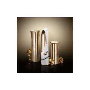 ふるさと納税 美容 岐阜県 羽島市 チョウチョウ ザ・モルフォカーバー　 目元美顔器+アイジェル+アイセラム 1578941