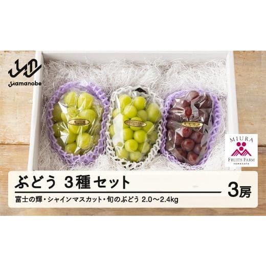 ふるさと納税 ぶどう マスカット 山形県 山辺町  ふるさと納税 先行予約 ぶどう 富士の輝 シャイ...