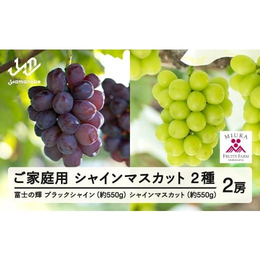 ふるさと納税 ぶどう マスカット 山形県 山辺町  ふるさと納税 先行予約 ぶどう 富士の輝 約55...