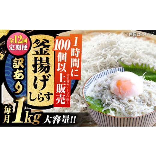 ふるさと納税 魚貝類 しらす 広島県 江田島市  全12回定期便 訳あり しらす 冷凍 ふわふわ 釜...