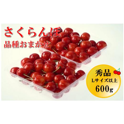 ふるさと納税 果物類 さくらんぼ 山形県 天童市 08-05-001　さくらんぼ品種おまかせ600g