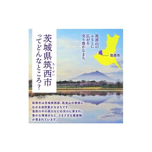 ふるさと納税 肉 茨城県 筑西市  年4回お届け 燻製職? 風實 の 春夏秋冬 シーズン 満喫 定期...
