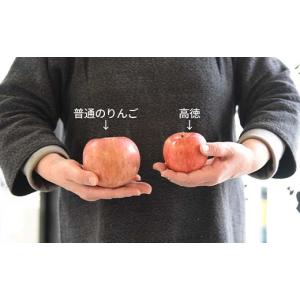 ふるさと納税 りんご 山形県 - 《2026年...の詳細画像4
