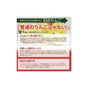 ふるさと納税 りんご 山形県 - 《2026年...の詳細画像5