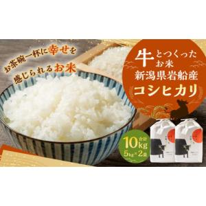 ふるさと納税 米 コシヒカリ 新潟県 村上市  令和7年産米 牛とつくったお米 新潟県村上市岩船産 コシヒカリ 精米 10kg（5kg×2袋） 1041005｜ふるさとチョイス