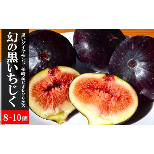 ふるさと納税 いちじく 新潟県 柏崎市  先行予約・令和8年秋発送 黒いちじく ビオレソリエス 8〜...