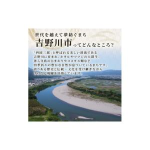 ふるさと納税 アイス・ヨーグルト ジェラート ...の詳細画像5