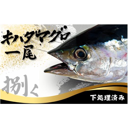 ふるさと納税 マグロ 和歌山県 すさみ町 キハダマグロ 1尾 下処理済み 和歌山県すさみ町産 ／ 大...