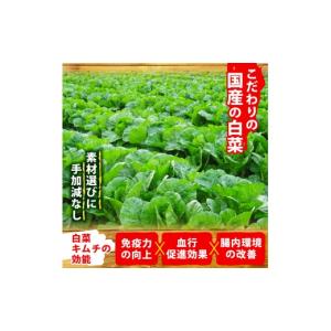 ふるさと納税 惣菜・レトルト 三重県 志摩市 ...の詳細画像4
