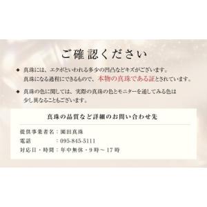 ふるさと納税 アクセサリー ネックレス 長崎県...の詳細画像5