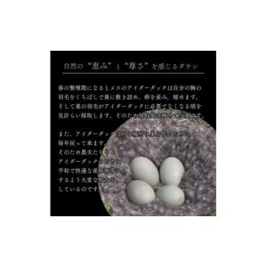 ふるさと納税 タオル・寝具 掛け布団 京都府 ...の詳細画像3