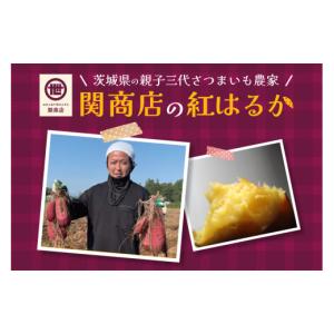 ふるさと納税 干し芋 茨城県 小美玉市 202...の詳細画像4