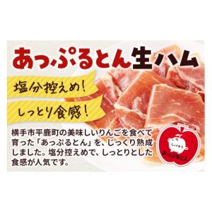 ふるさと納税 肉 ハム 秋田県 横手市 《定期...の詳細画像4