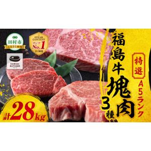ふるさと納税 牛肉 ステーキ 福島県 田村市 厳...の商品画像