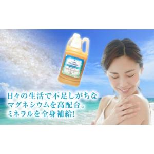 ふるさと納税 美容 入浴剤 岐阜県 恵那市 1...の詳細画像5