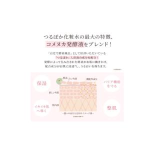 ふるさと納税 美容 化粧水 岐阜県 恵那市 1...の詳細画像5