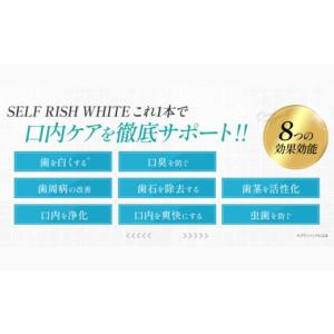 ふるさと納税 石鹸 愛媛県 大洲市 歯磨き粉 ...の詳細画像4