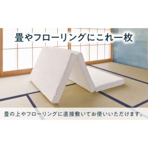ふるさと納税 タオル・寝具 滋賀県 長浜市 マ...の詳細画像3