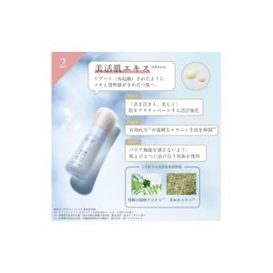 ふるさと納税 美容 熊本県 宇城市 ドモホルン...の詳細画像4