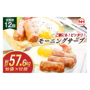 ふるさと納税 肉 ソーセージ 静岡県 吉田町 定期便 モーニングサーブ 480g 10袋 計4.8kg 12回 総計57.6kg 日本ハム マーケティング 静岡県 吉田町 22424313 ソ…