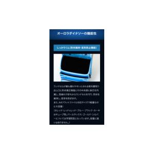 ふるさと納税 雑貨・日用品 福井県 越前市 2...の詳細画像5