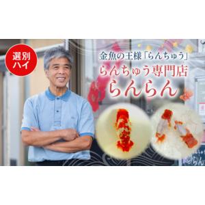 ふるさと納税 生き物 埼玉県 羽生市 選別(ハ...の詳細画像1