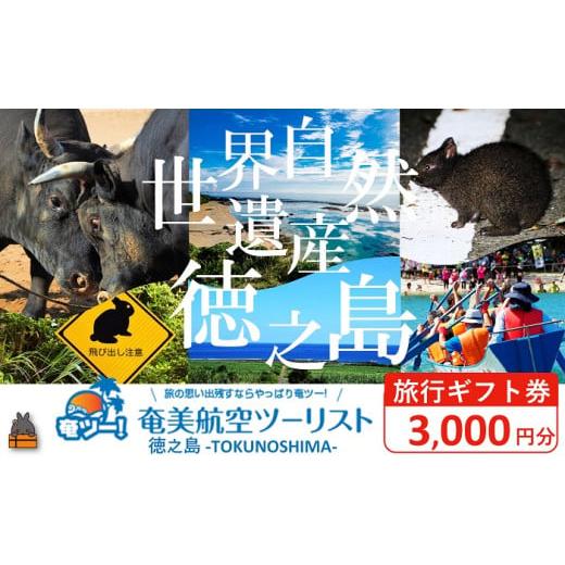 ふるさと納税 パッケージ旅行 鹿児島県 徳之島町 2304 奄美航空ツーリスト徳之島営業所 旅行ギフ...