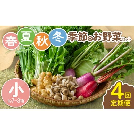ふるさと納税 セット・詰合せ 宮崎県 綾町  全４回定期便 春夏秋冬 季節のお野菜セット（サイズ小）...