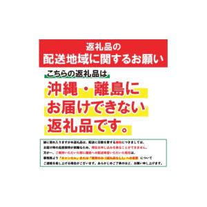 ふるさと納税 民芸品・工芸品 岩手県 盛岡市 ...の詳細画像2