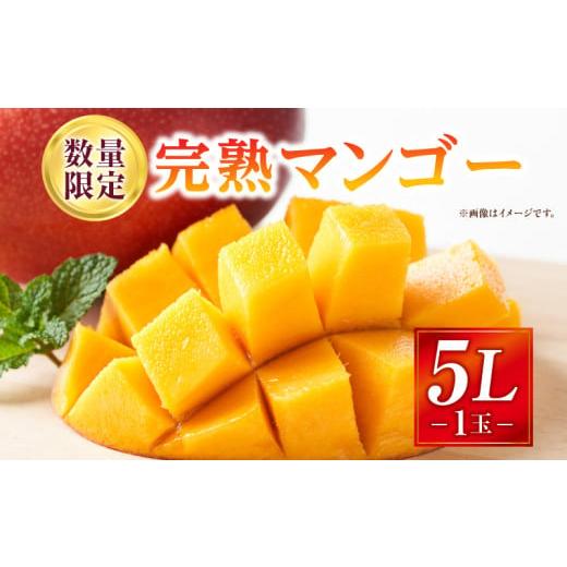 ふるさと納税 マンゴー 宮崎県 宮崎市 《2026年発送先行予約》 数量・期間限定 完熟マンゴー 5...
