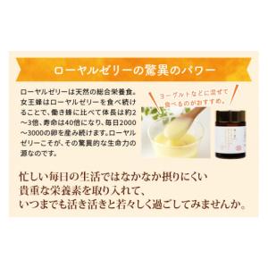ふるさと納税 健康食品 岐阜県 本巣市 12ヶ...の詳細画像3