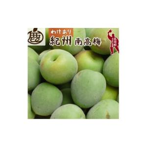 ふるさと納税 果物類 和歌山県 広川町 青梅 訳...の商品画像