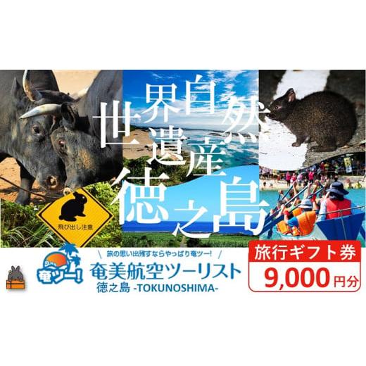 ふるさと納税 パッケージ旅行 鹿児島県 徳之島町 2306 奄美航空ツーリスト徳之島営業所 旅行ギフ...