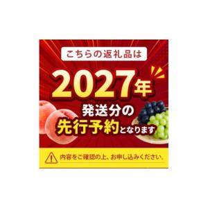 ふるさと納税 もも 山梨県 山梨市 2027年...の詳細画像2