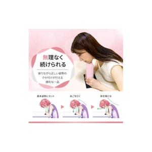 ふるさと納税 雑貨・日用品 愛知県 安城市 ス...の詳細画像2