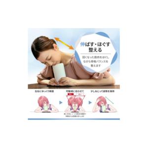 ふるさと納税 雑貨・日用品 愛知県 安城市 ス...の詳細画像3