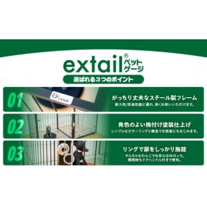 ふるさと納税 雑貨・日用品 鹿児島県 鹿児島市...の詳細画像3