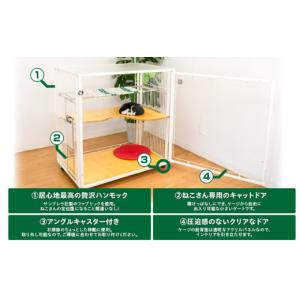 ふるさと納税 雑貨・日用品 鹿児島県 鹿児島市...の詳細画像4