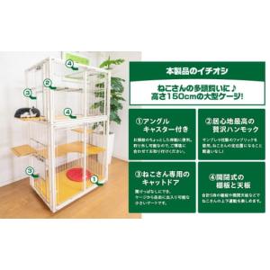 ふるさと納税 雑貨・日用品 鹿児島県 鹿児島市...の詳細画像4