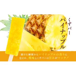ふるさと納税 和菓子 神奈川県 平塚市 三秀堂...の詳細画像5