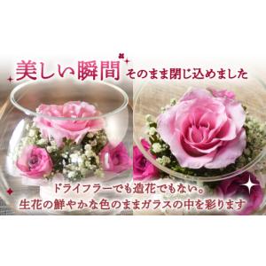 ふるさと納税 雑貨・日用品 花 福岡県 広川町...の詳細画像2