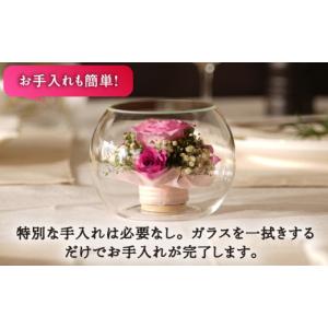 ふるさと納税 雑貨・日用品 花 福岡県 広川町...の詳細画像4