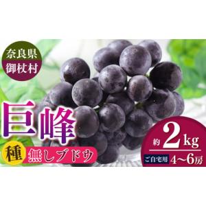 ふるさと納税 ぶどう 巨峰 奈良県 御杖村 ご自...の商品画像