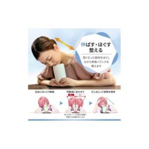 ふるさと納税 雑貨・日用品 愛知県 安城市 ス...の詳細画像3