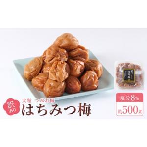 ふるさと納税 加工品等 梅干 和歌山県 和歌山市...の商品画像