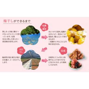ふるさと納税 加工品等 梅干 和歌山県 和歌山...の詳細画像3