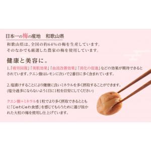 ふるさと納税 加工品等 梅干 和歌山県 和歌山...の詳細画像4