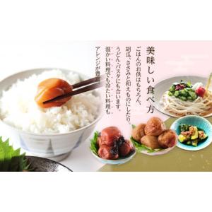 ふるさと納税 加工品等 梅干 和歌山県 和歌山...の詳細画像5