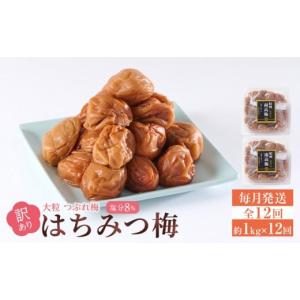 ふるさと納税 加工品等 梅干 和歌山県 和歌山市...の商品画像